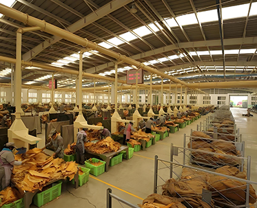 烟草行业用除尘系统